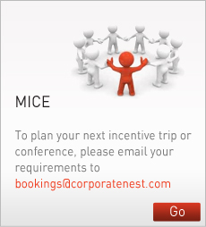 mice_box